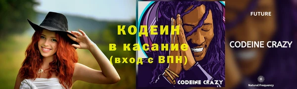 ПСИЛОЦИБИНОВЫЕ ГРИБЫ Касимов