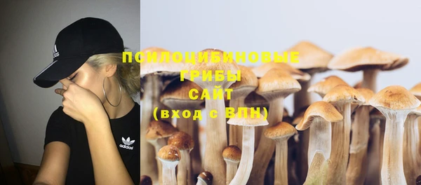 ПСИЛОЦИБИНОВЫЕ ГРИБЫ Касимов