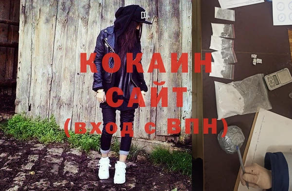 ПСИЛОЦИБИНОВЫЕ ГРИБЫ Касимов