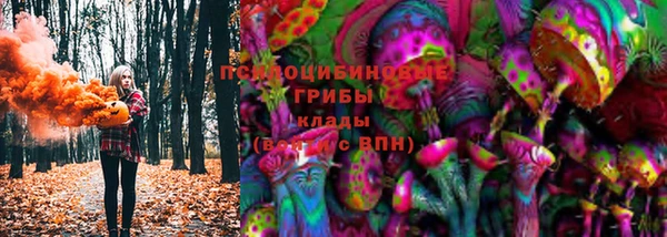 ПСИЛОЦИБИНОВЫЕ ГРИБЫ Касимов