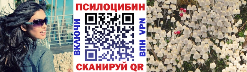 Купить закладки  Слюдянка  Галлюциногенные грибы Magic Shrooms 